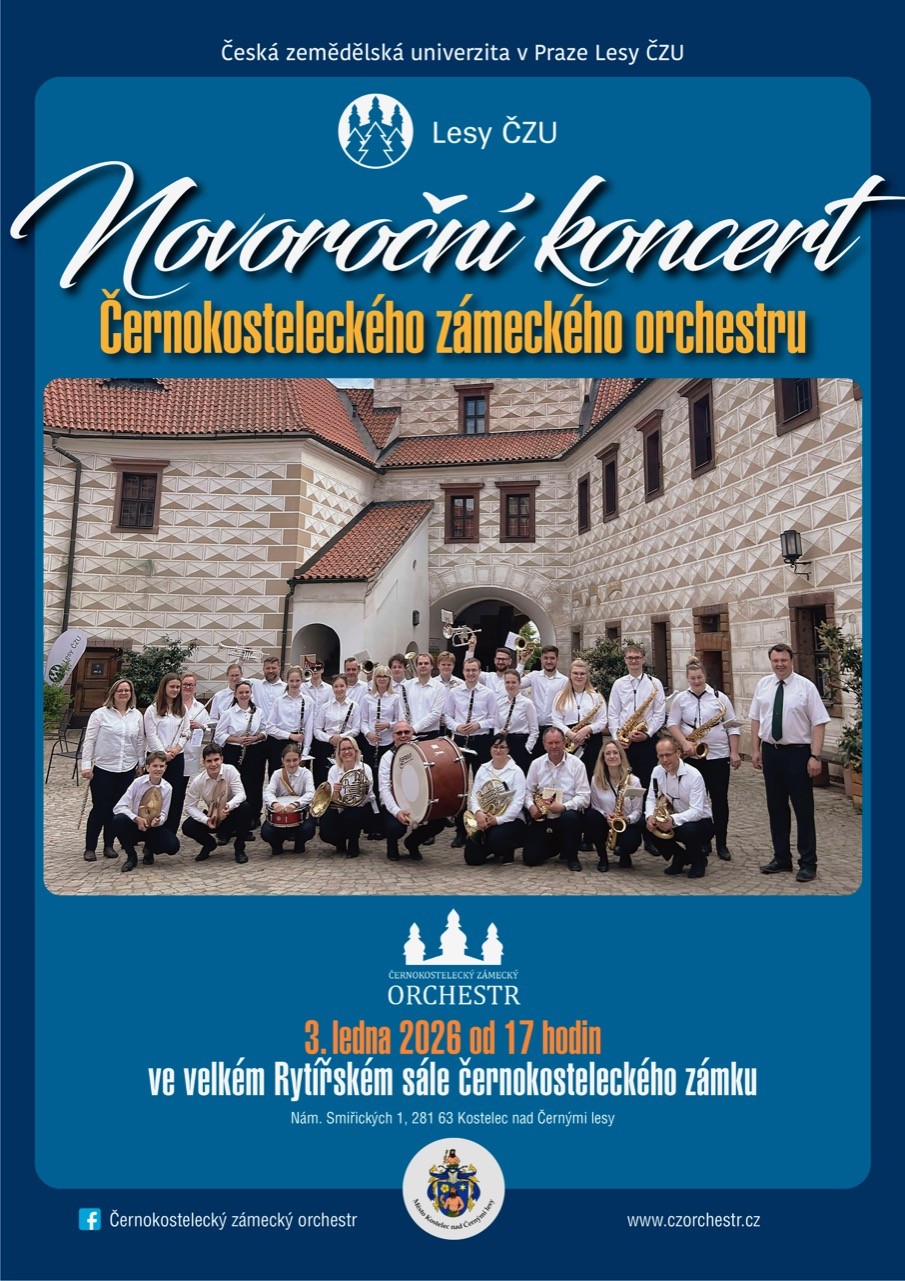 Novoroční koncert Černokosteleckého zámeckého orchestru